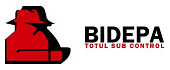 Bidepa Security
